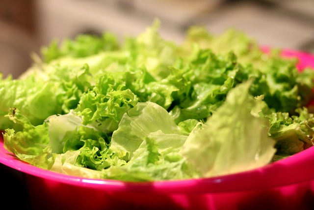 food, salad, lettuce, nature, healthy, vegetables, green, leaves, lettuce leaves, organic, fresh, produce